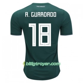 Billige Fotballdrakter Mexico A.Guardado 18 VM 2018 Hjemmedraktsett